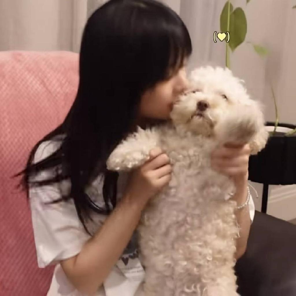 十七同学