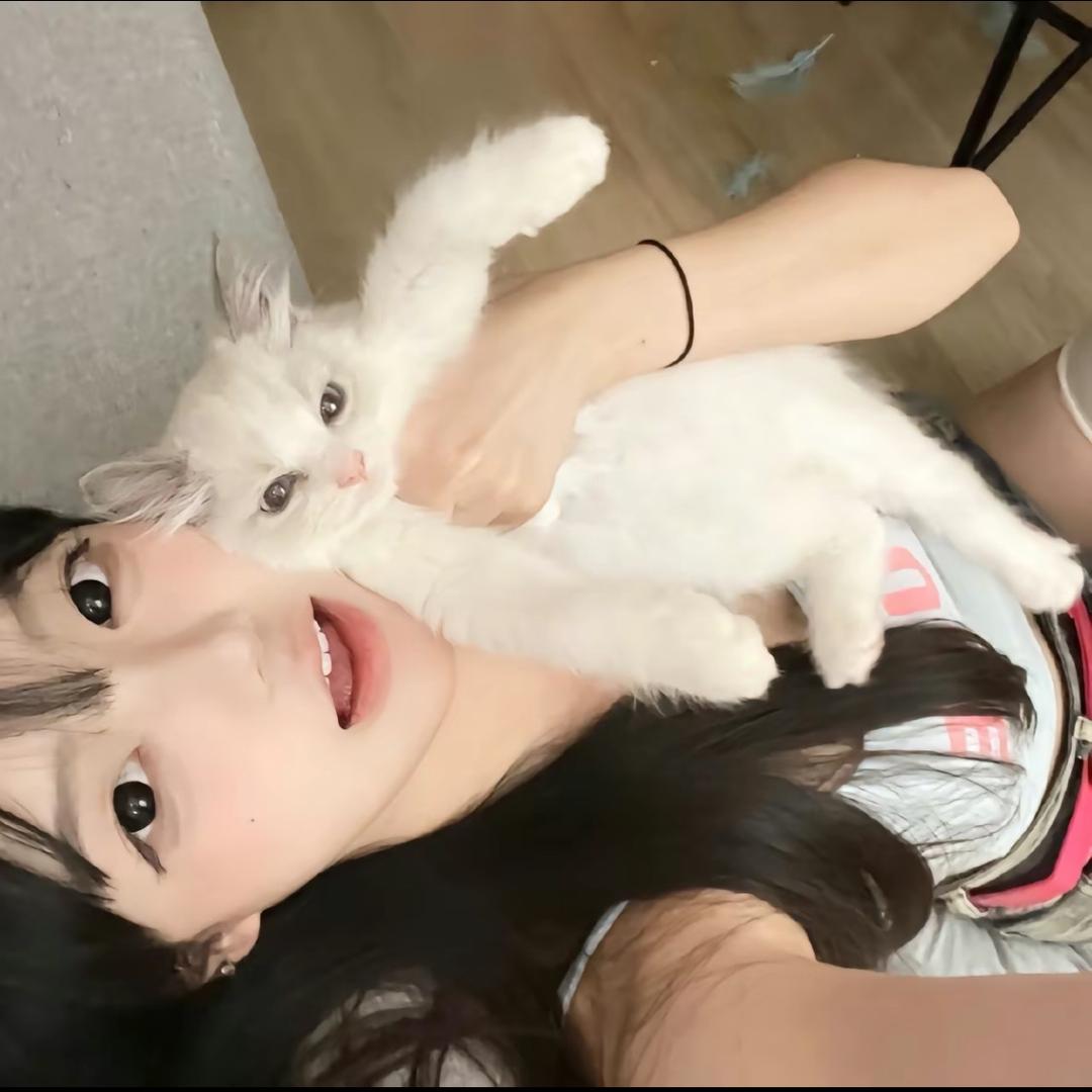 陳1+