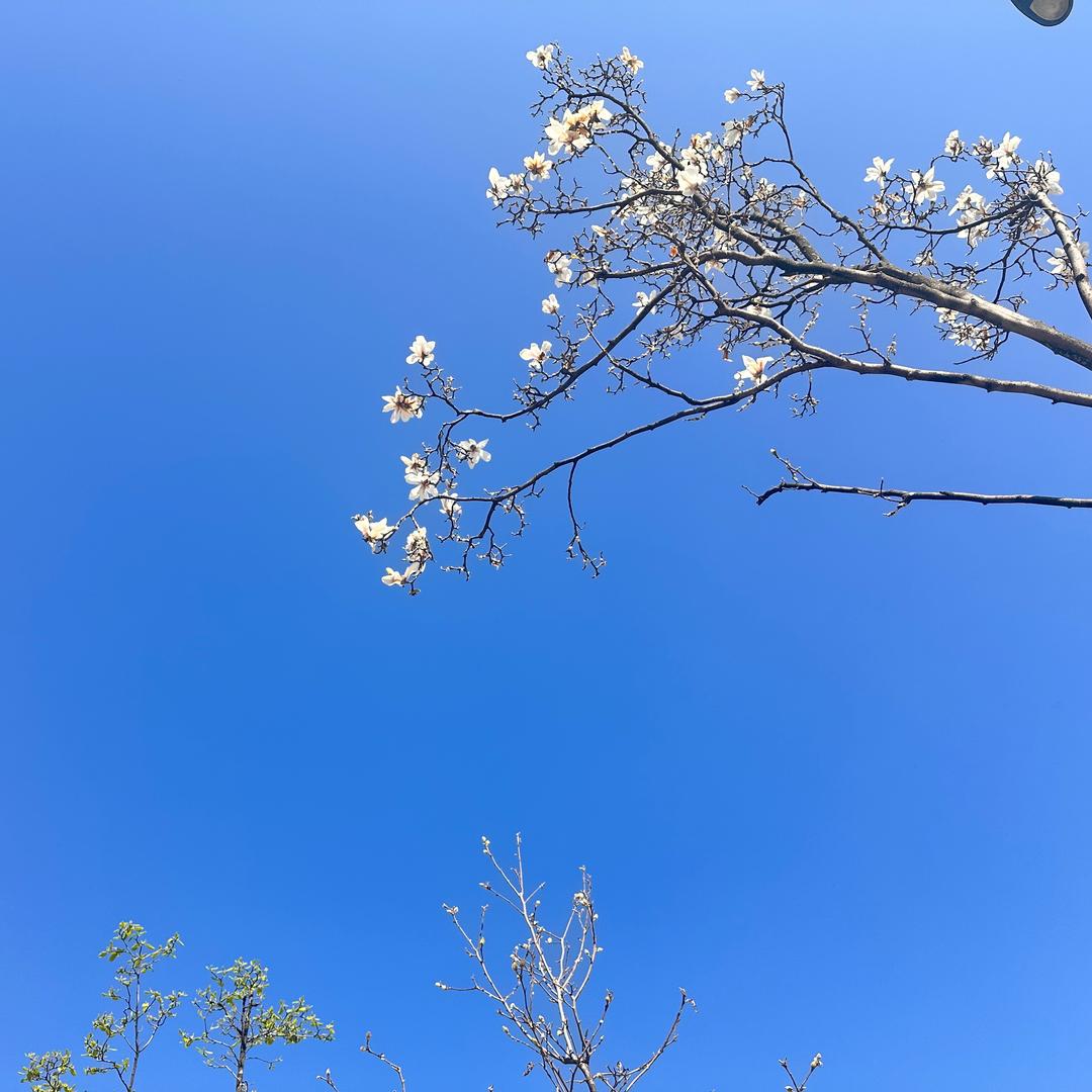 橘子汽水🥤💫 ᵈᙆ