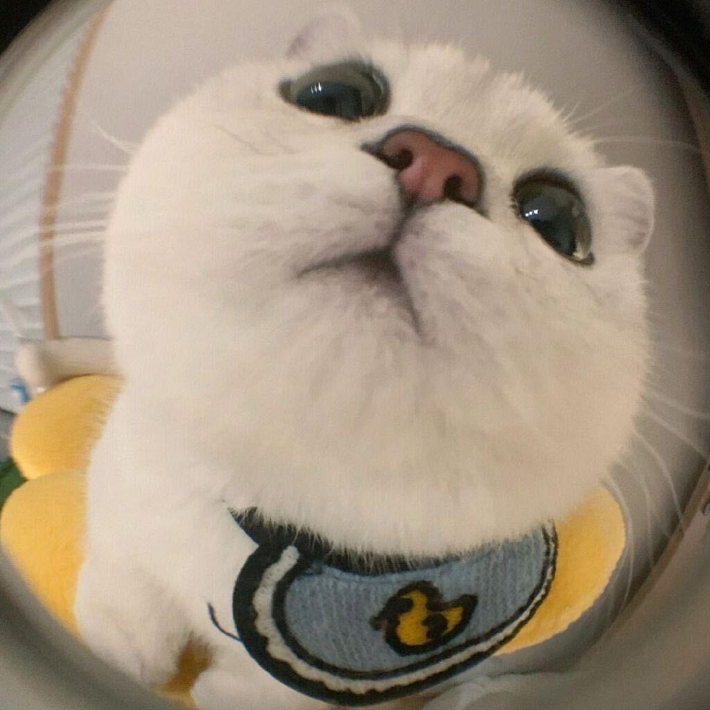 星星火焰还有夜晚