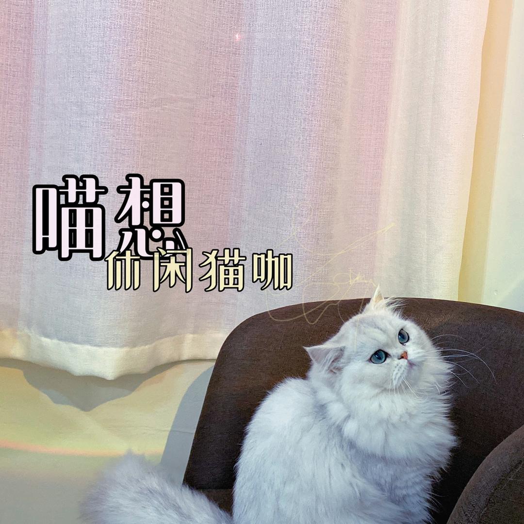 喵想休闲猫咖