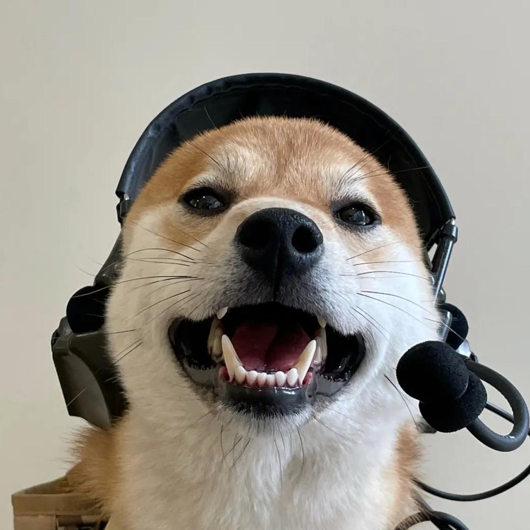 模型潮玩，需要看主页