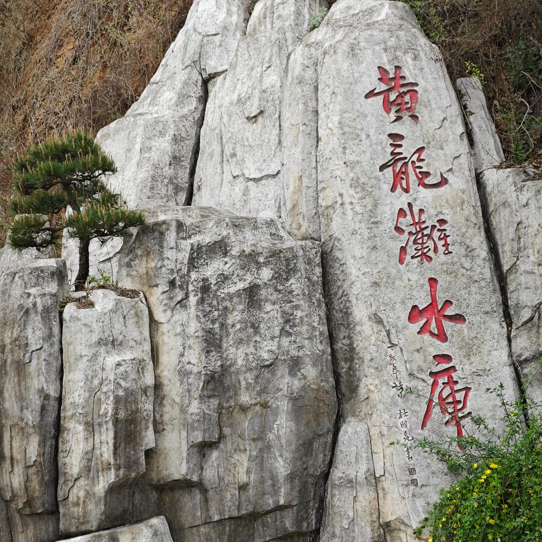 我永远是你的小骡子