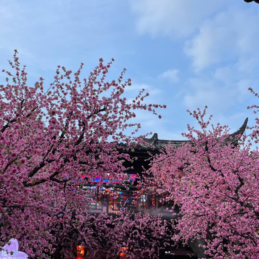 小小董（孕中期）