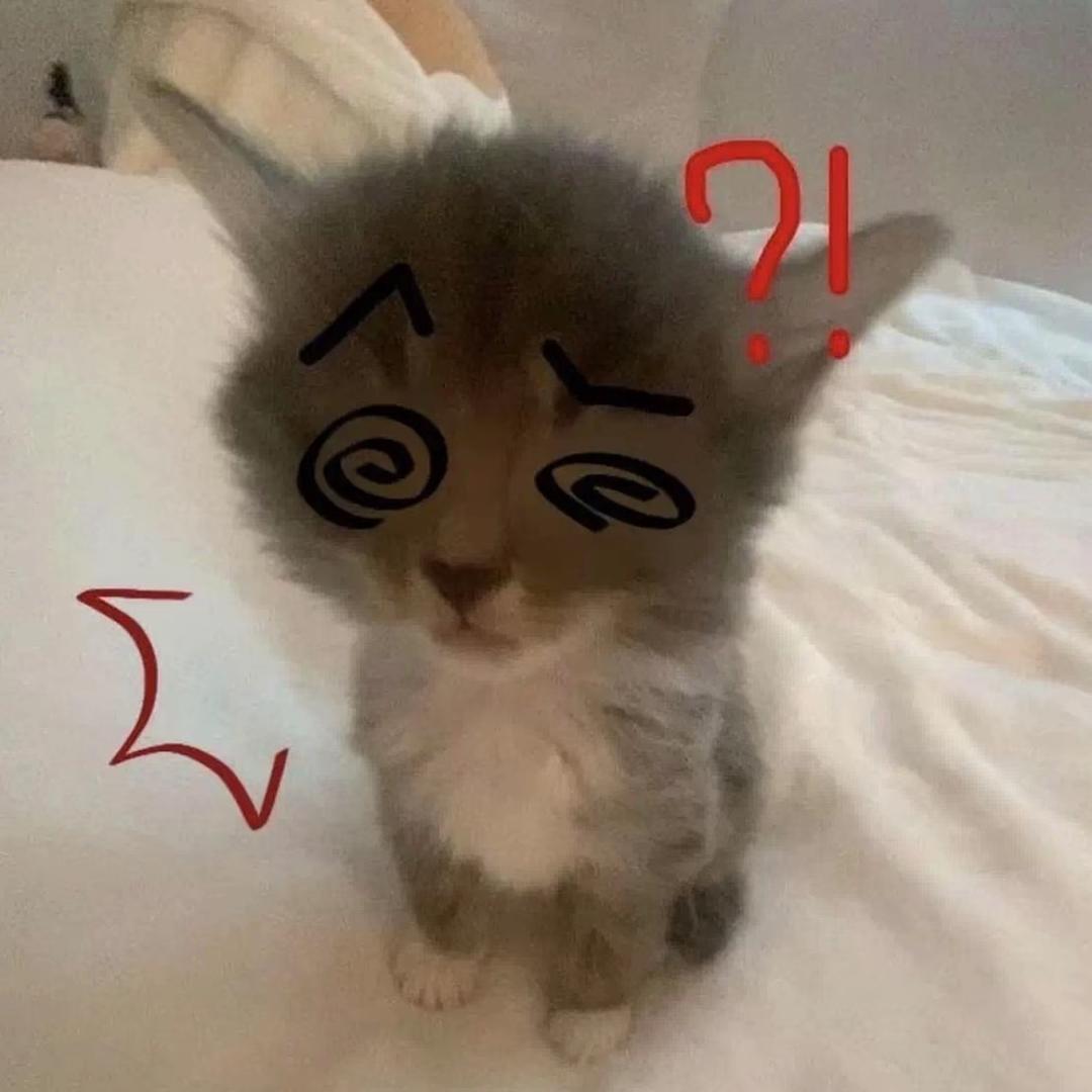 一個無聊的人類