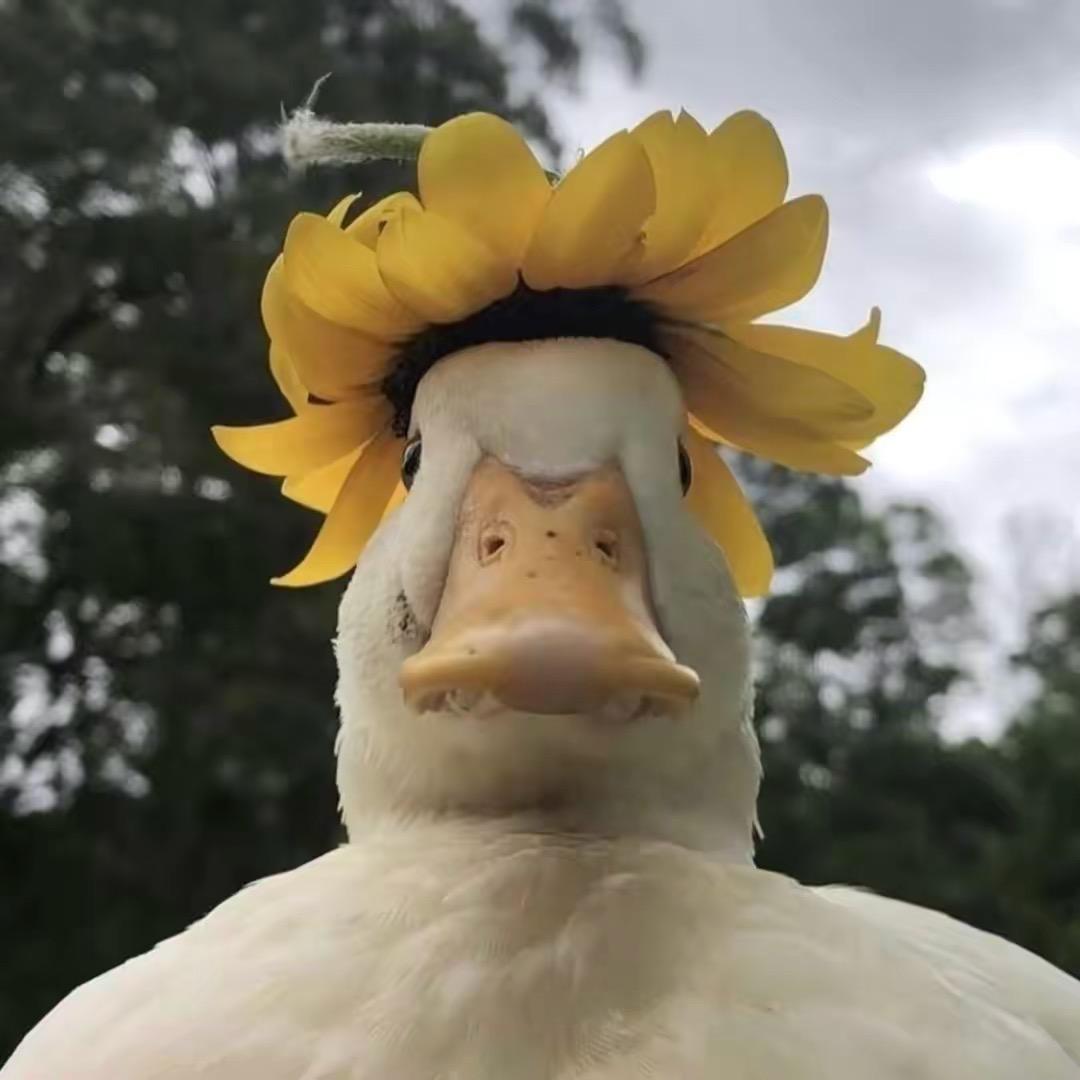 耶太白