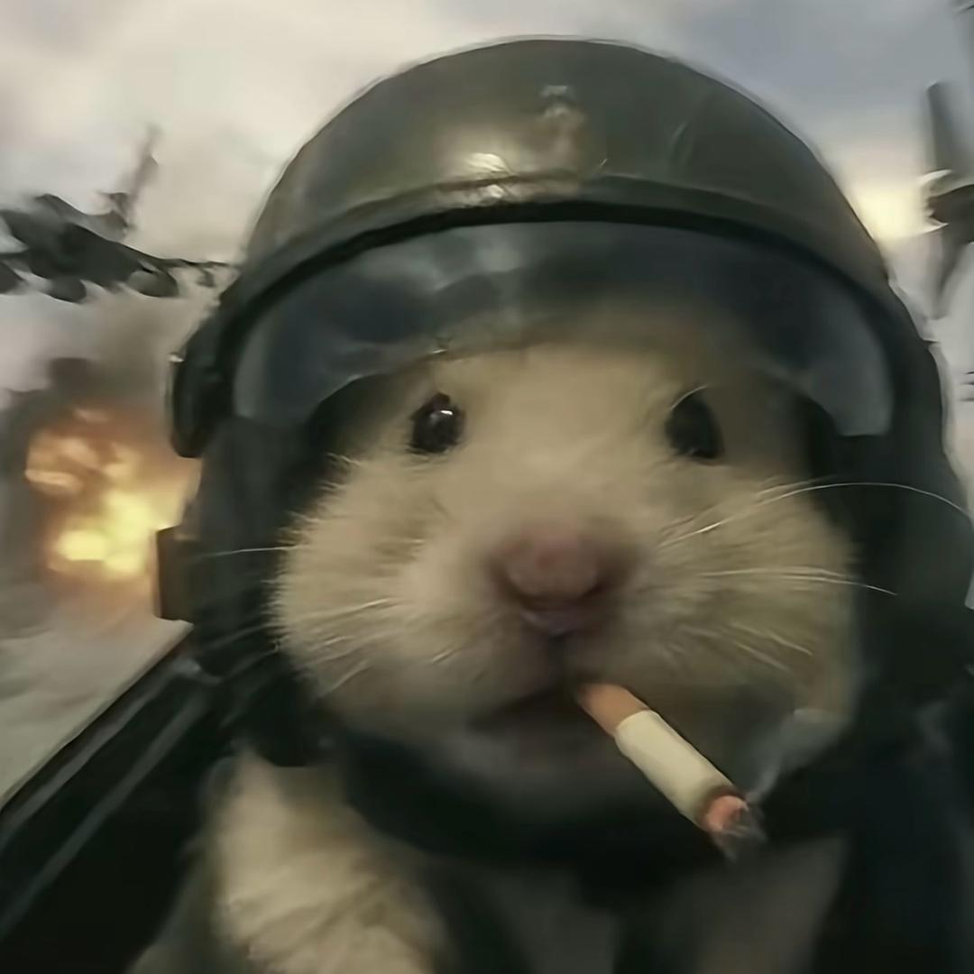 大肥三角洲俱乐部