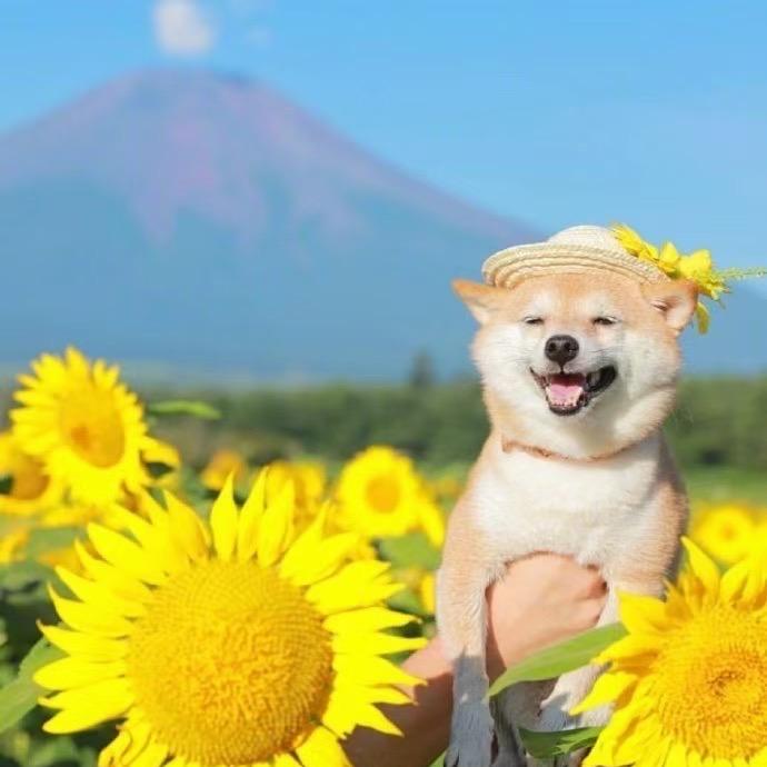 黄老师外卖爆单店铺