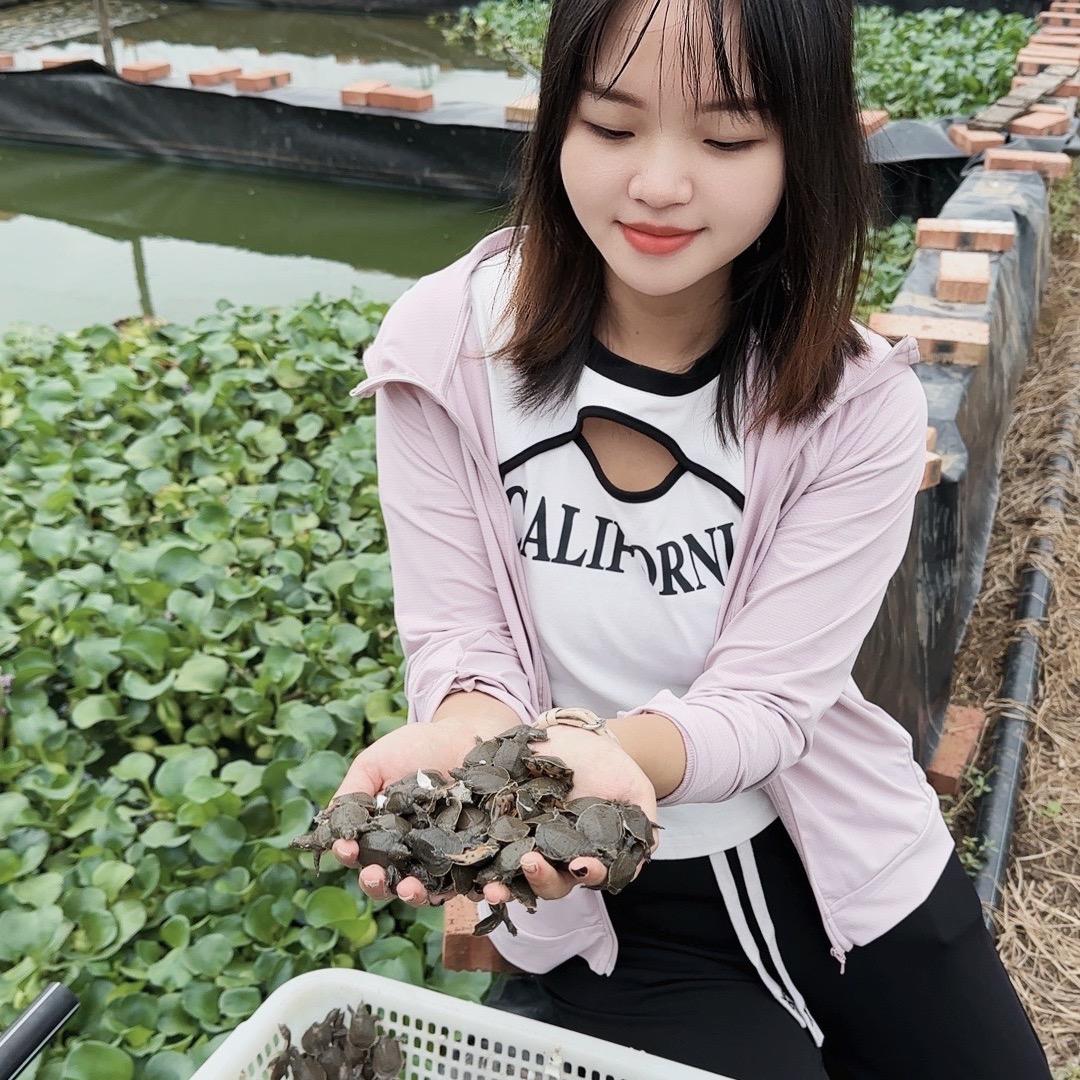 南丰渔小二甲鱼养殖