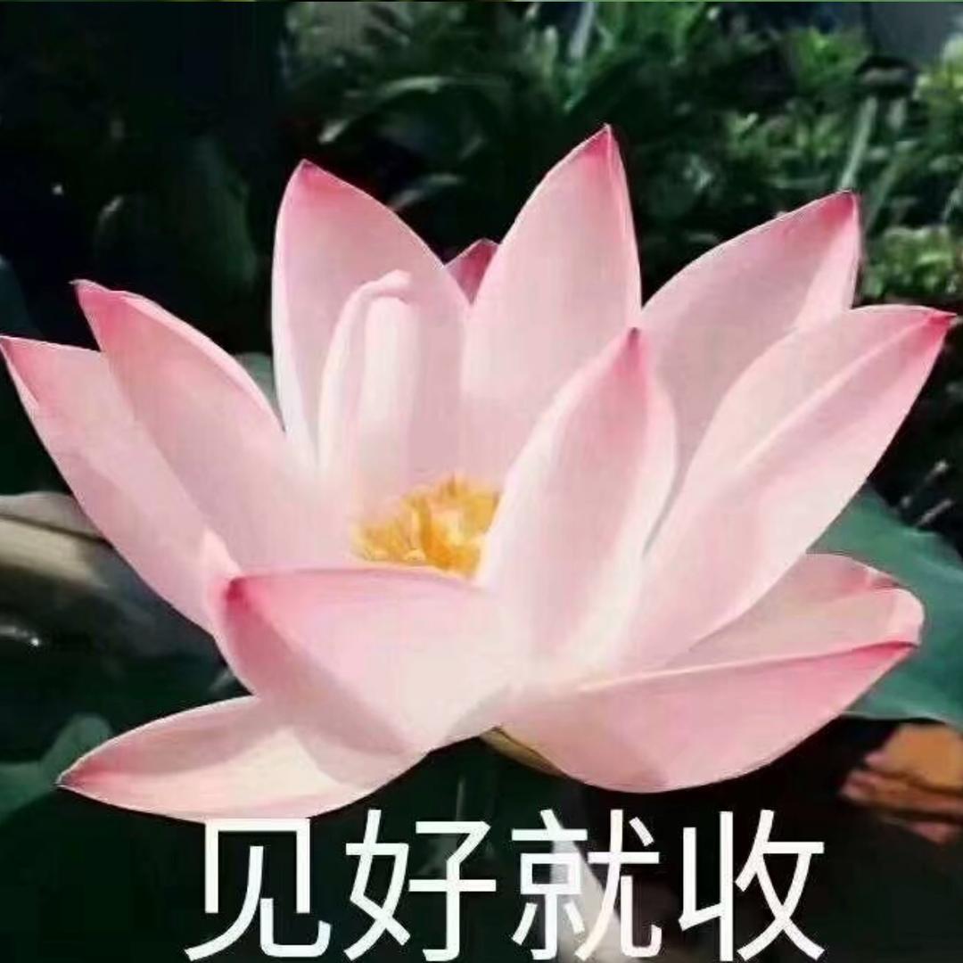 99.