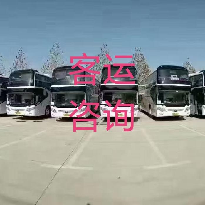 路桥刘杨票务