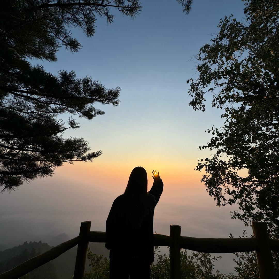 蒂澜·美學Eyebrow