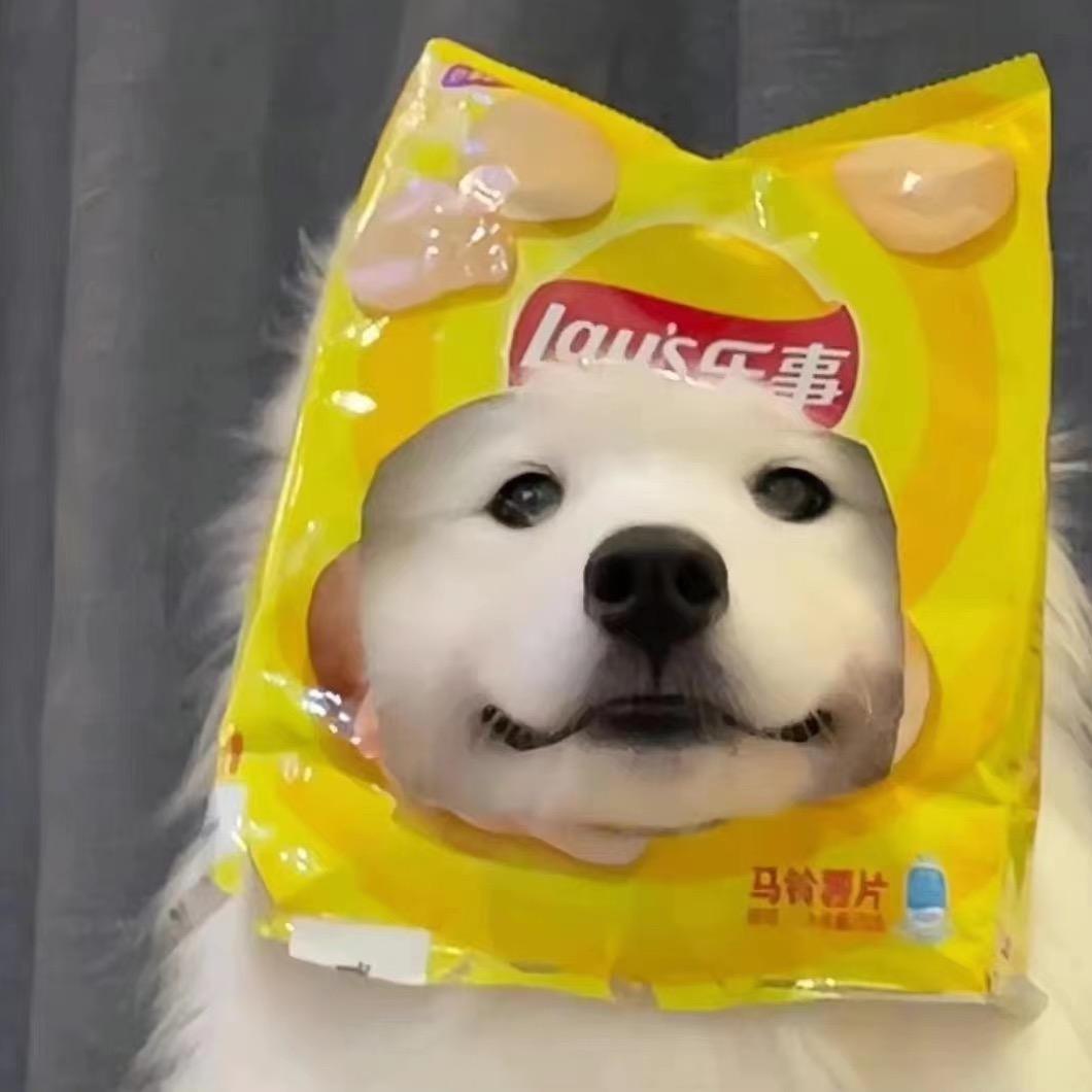 牵着腿腿去散步