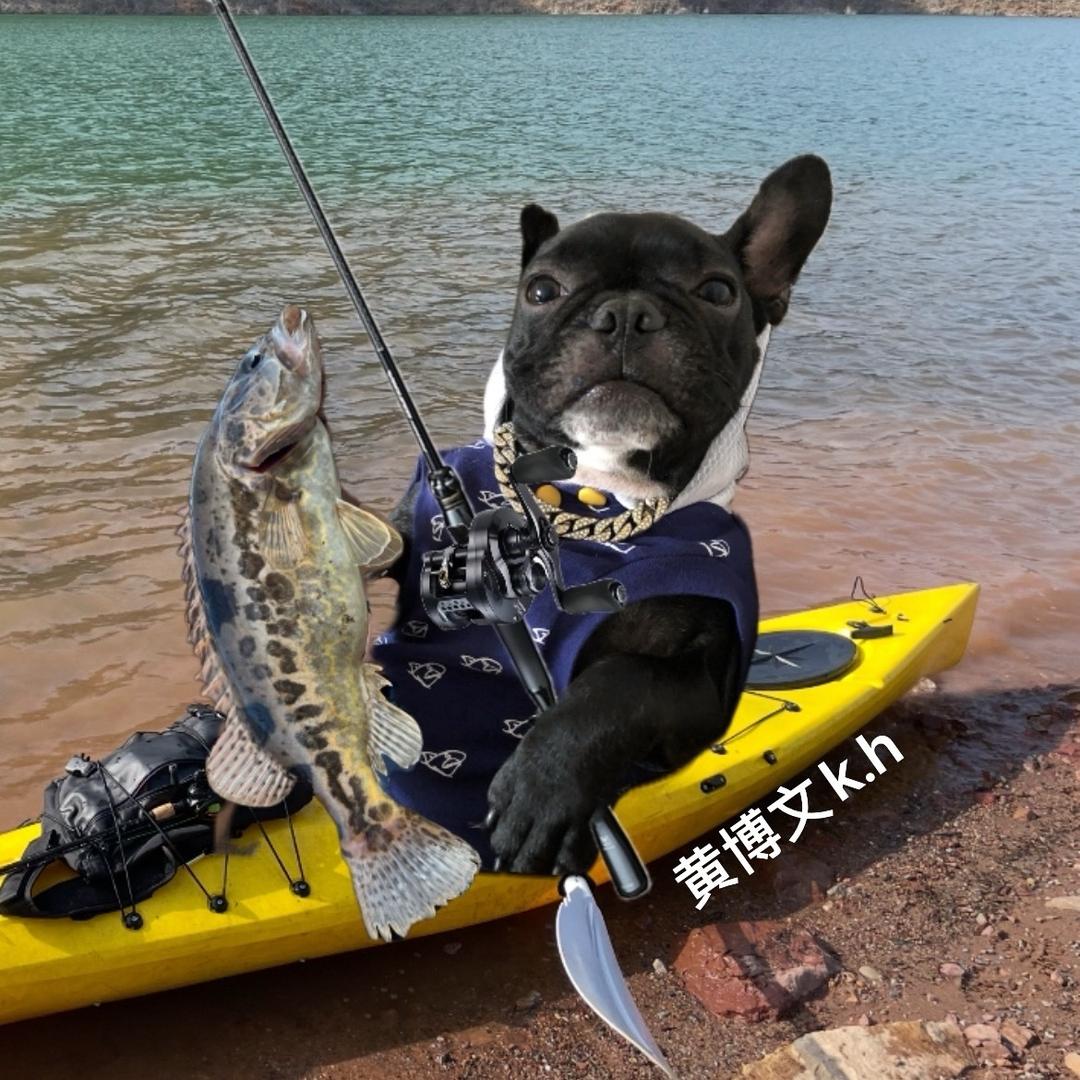 黄博文k.h
