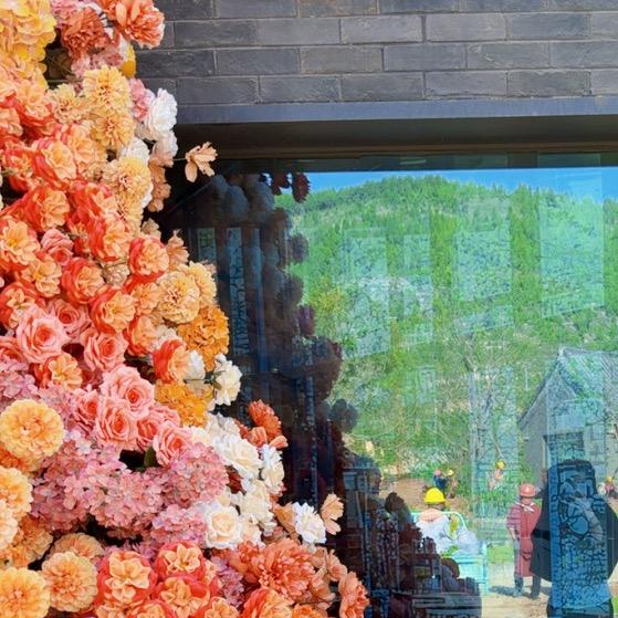 花姐爱生活👑