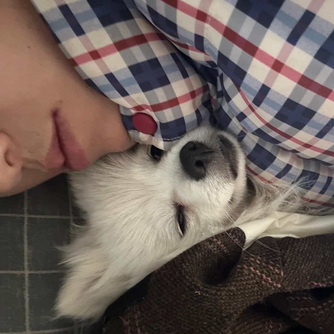 💍མེ་ཏོག་ZM🐰