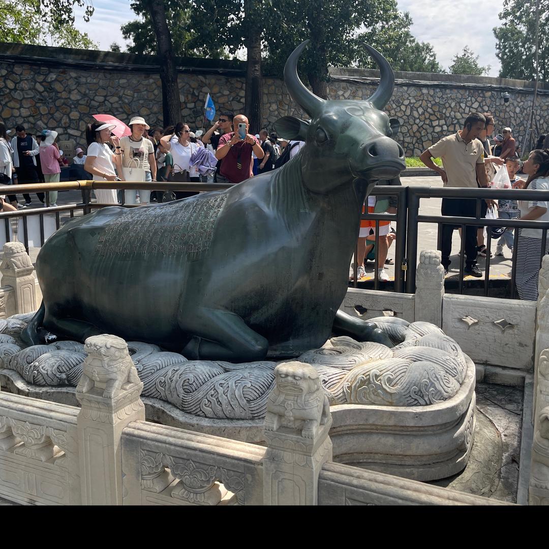 Zuichu小姐姐