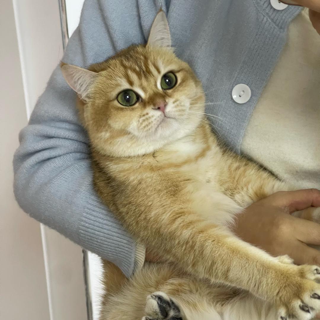 三水淼淼