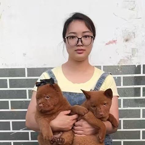 娟妹