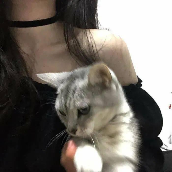 AA_💕