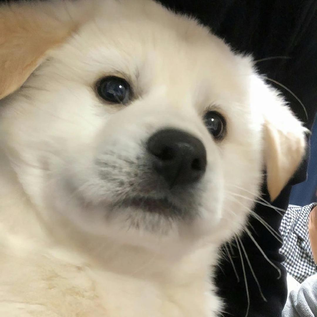 ⌯>ᴗo⌯ಣ