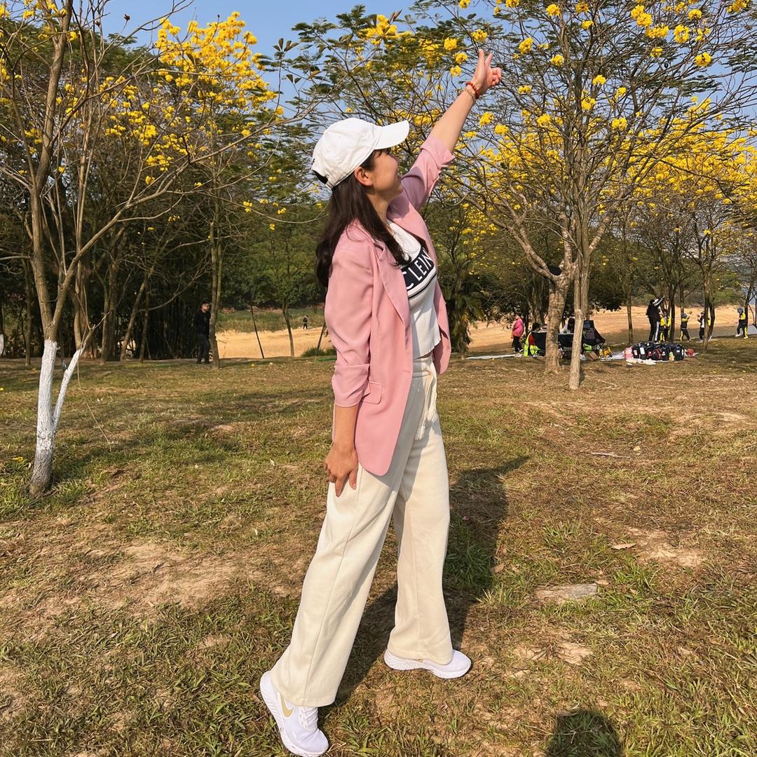 小凤
