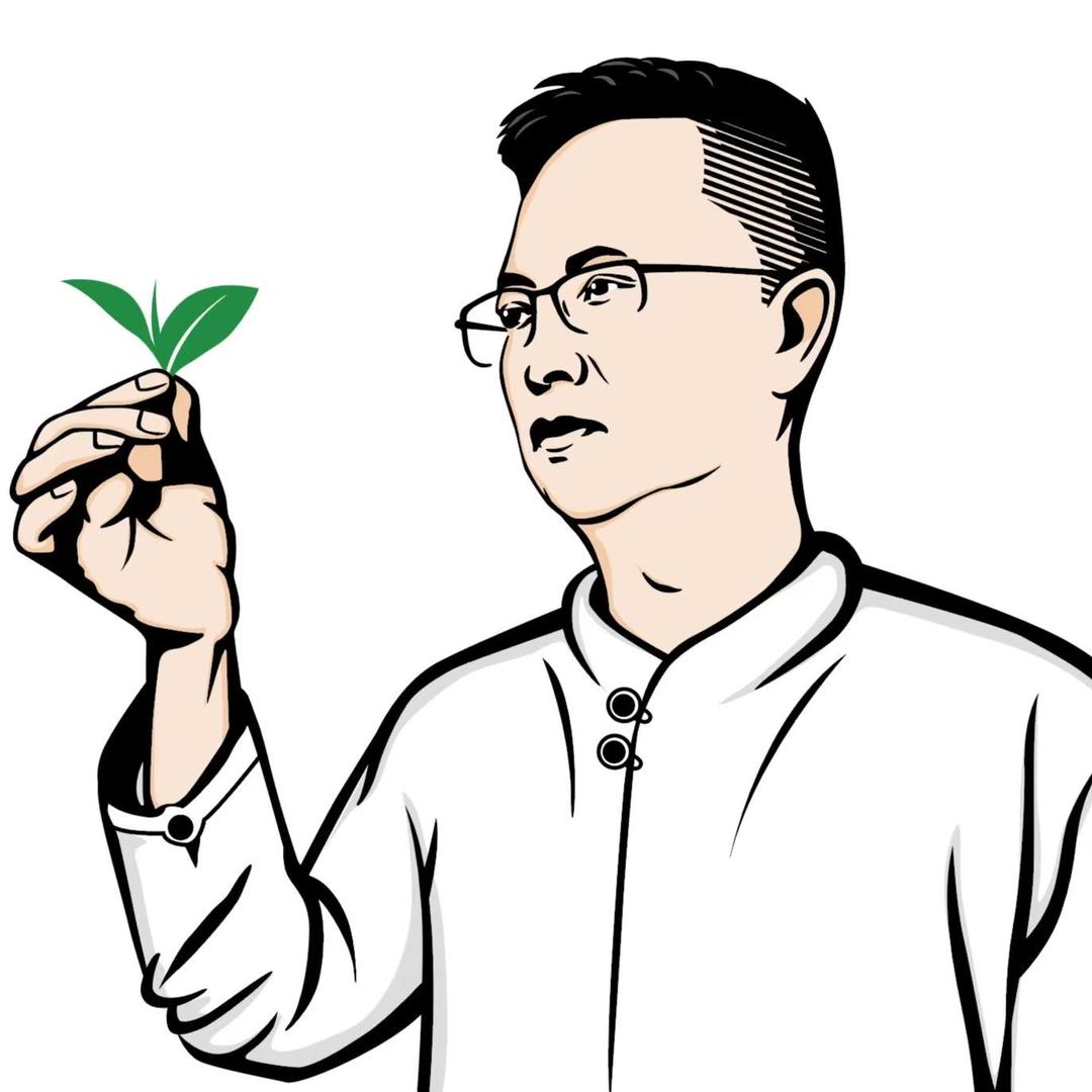 老许侦茶局 专注荒野茶