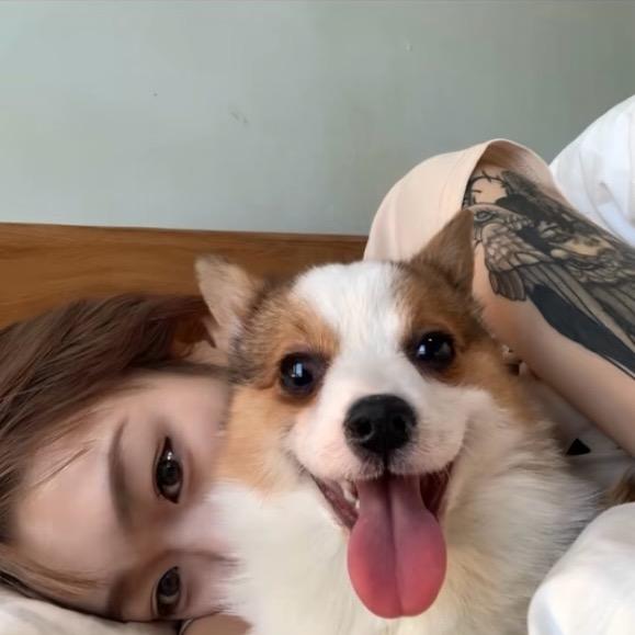 小丸的