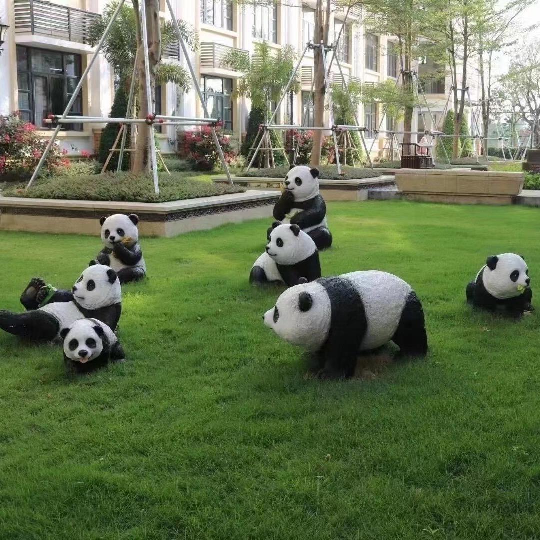 二中金棕榈日记