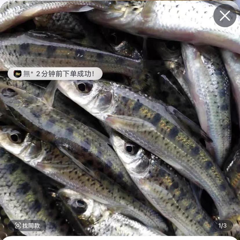 好多鱼水产养殖
