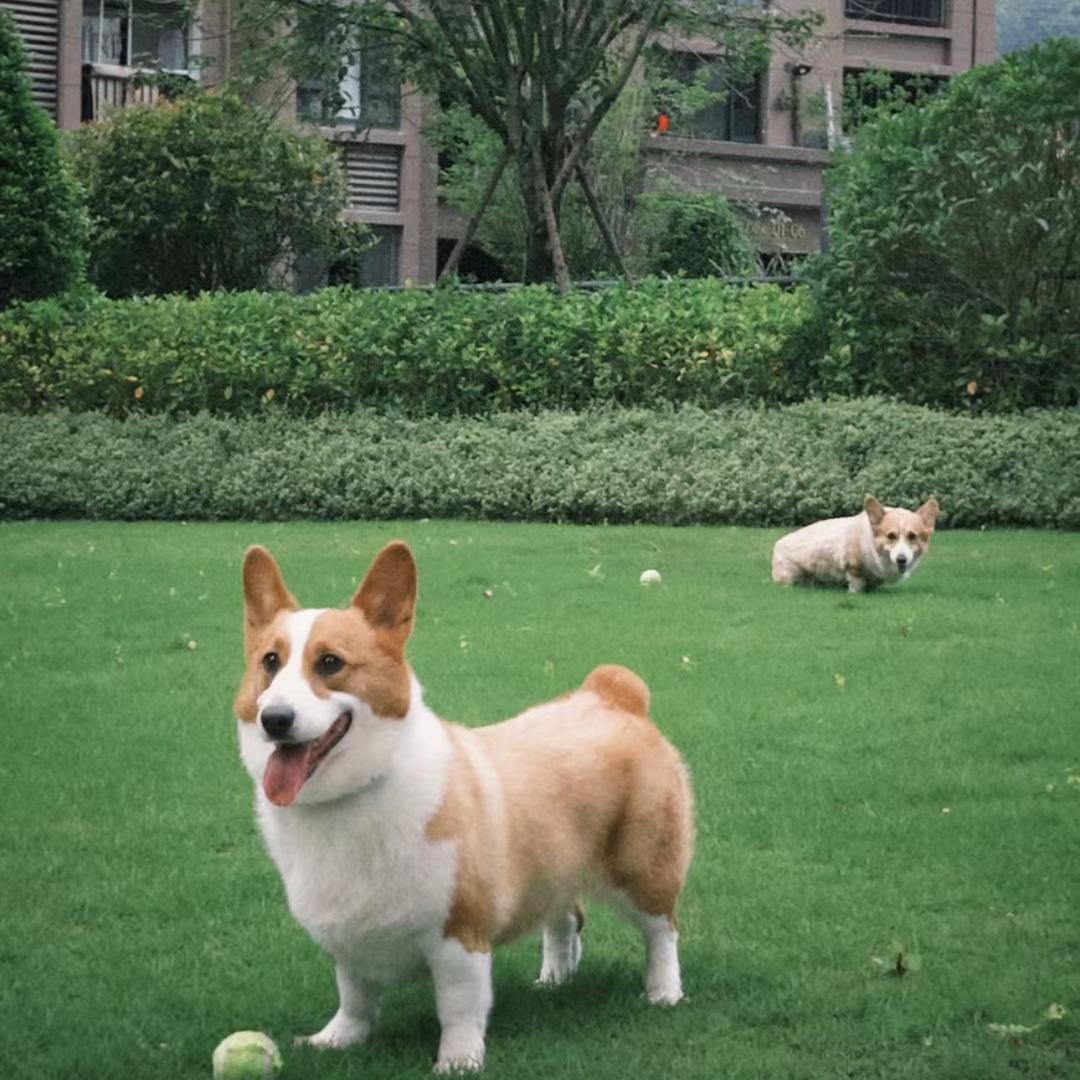 梦。。。