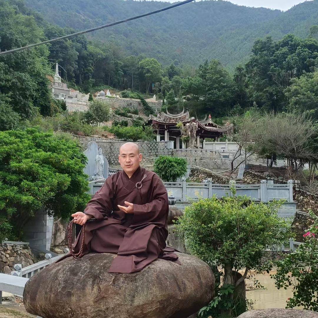 老顽童黄花梨