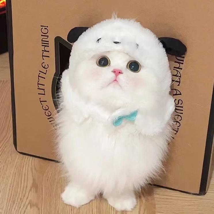 温柔‍