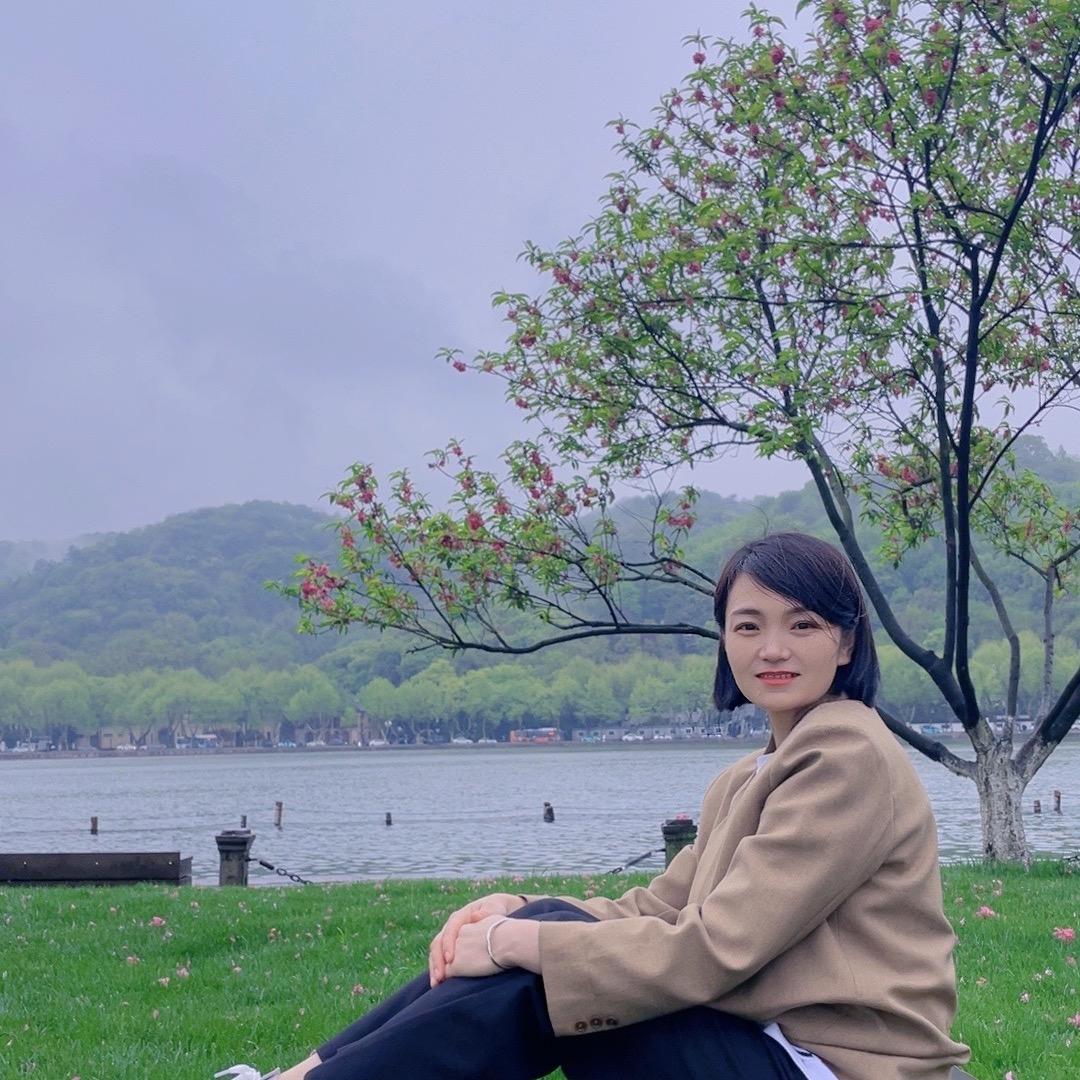 小李子万元车