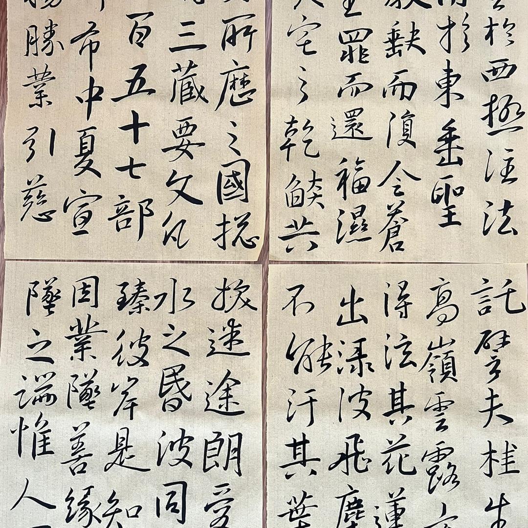 康哥爱书法