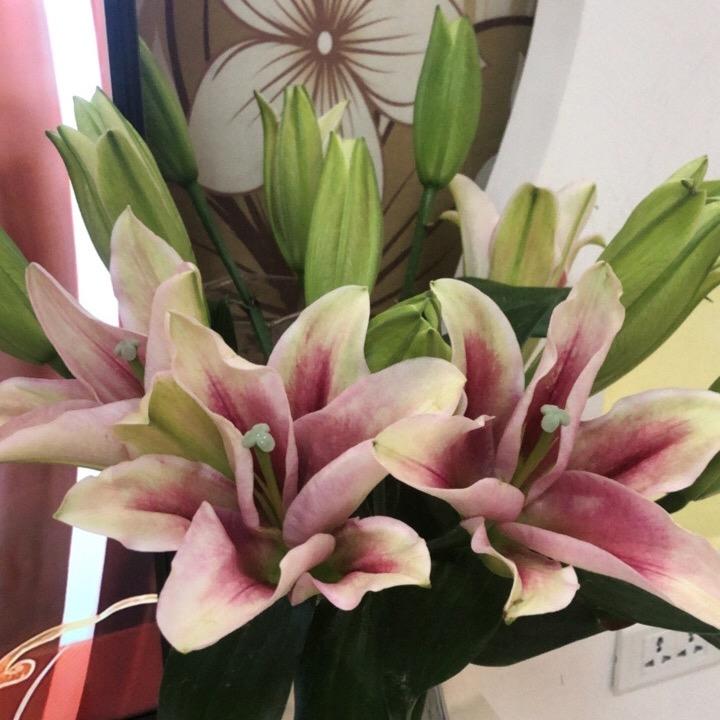 艳艳@