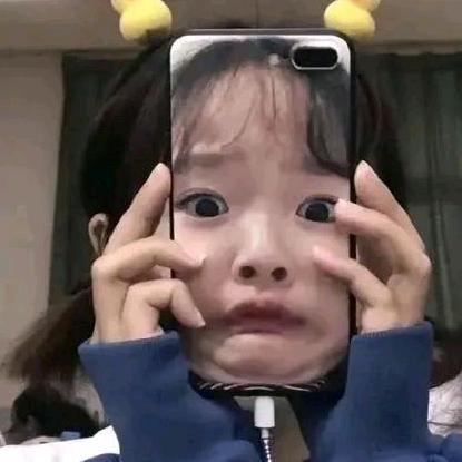 相遇黄花梨原材料