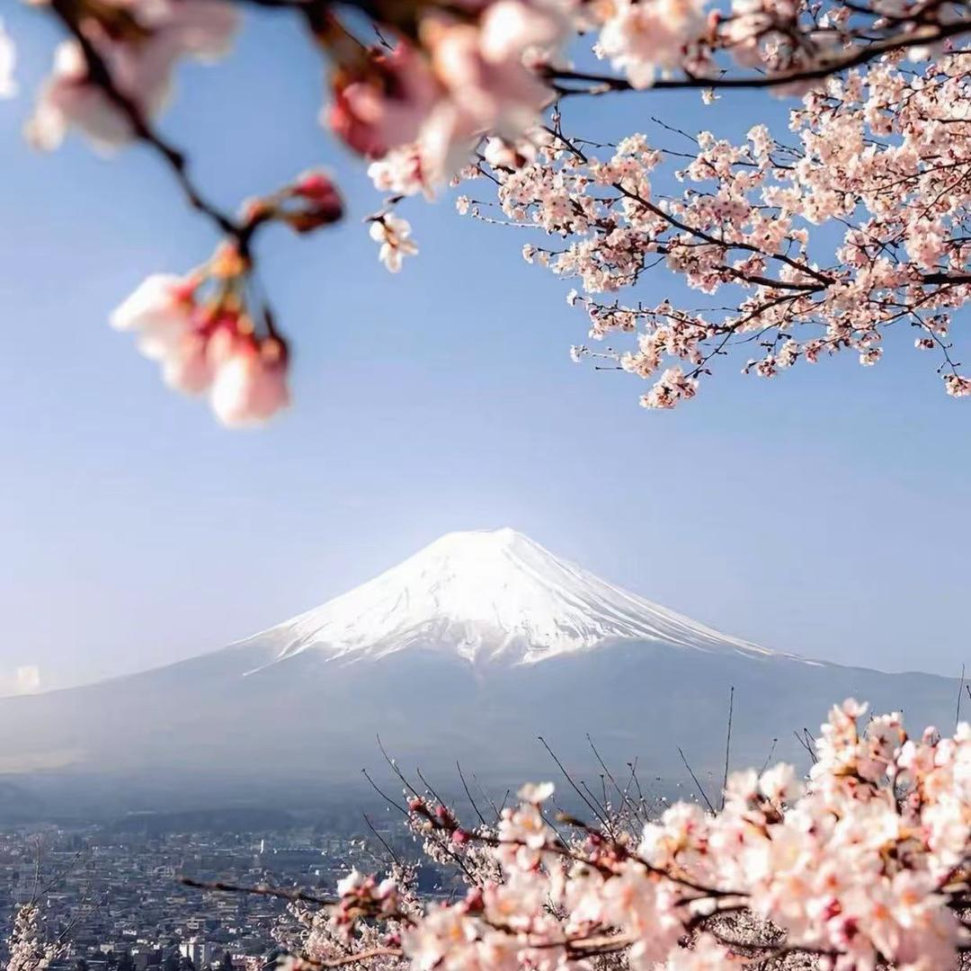 不管你说什么，我一直喜欢你老婆