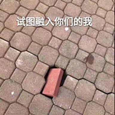 乌拉🐳