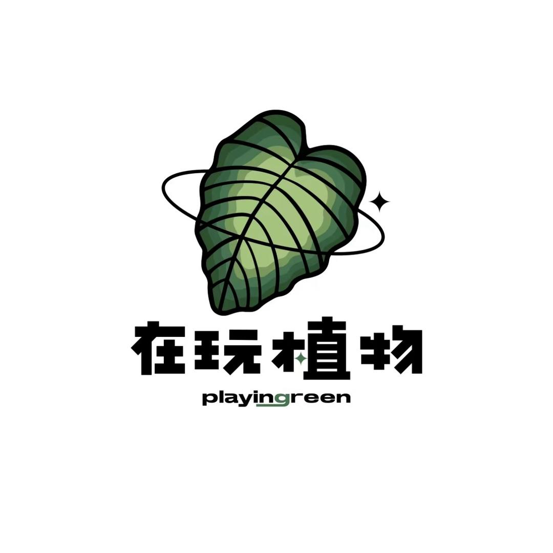 雅文绿植企业店