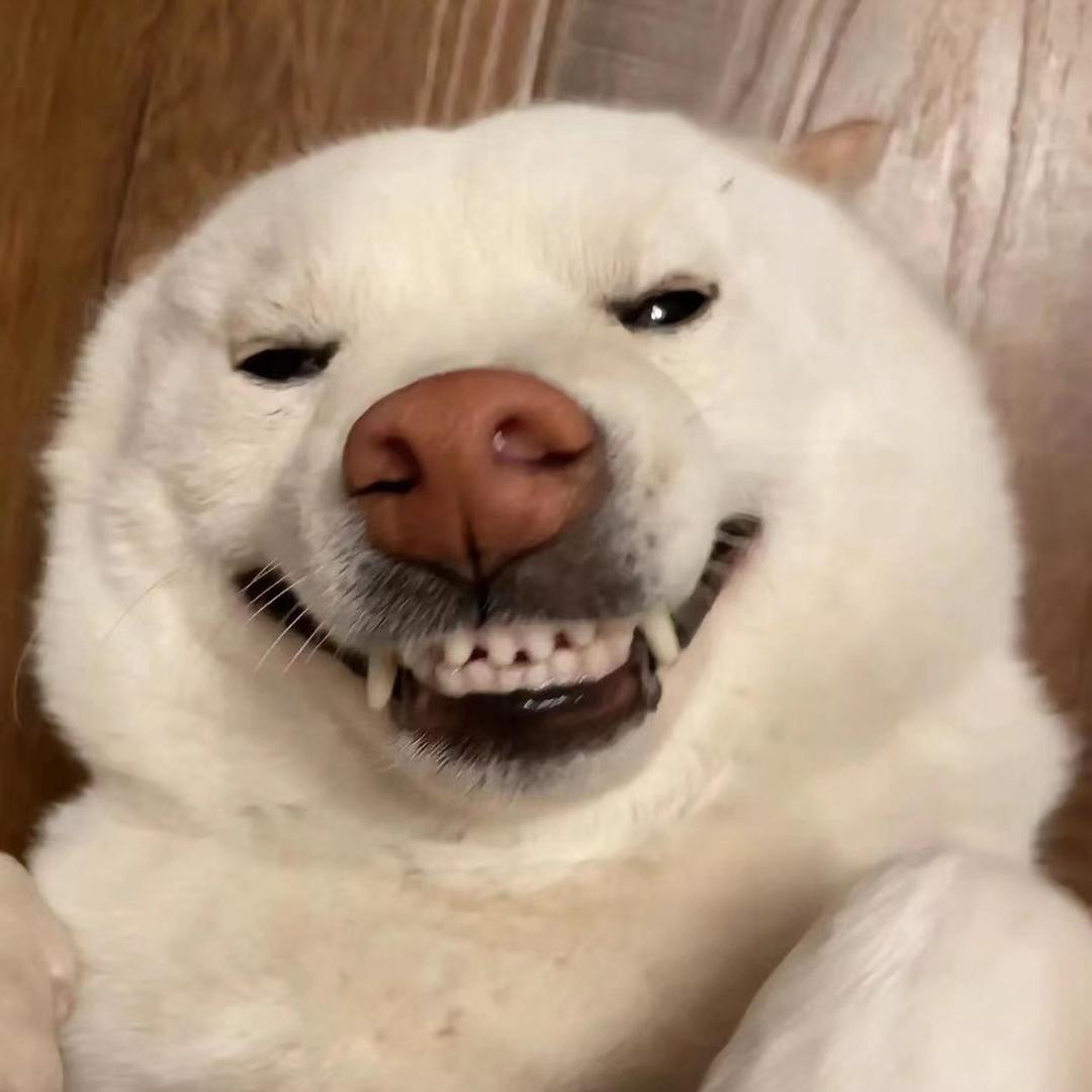 阿鱼（闽大汀州校区）