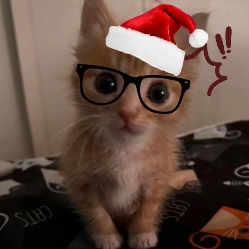 开心消消乐反义词是悲伤积积痛