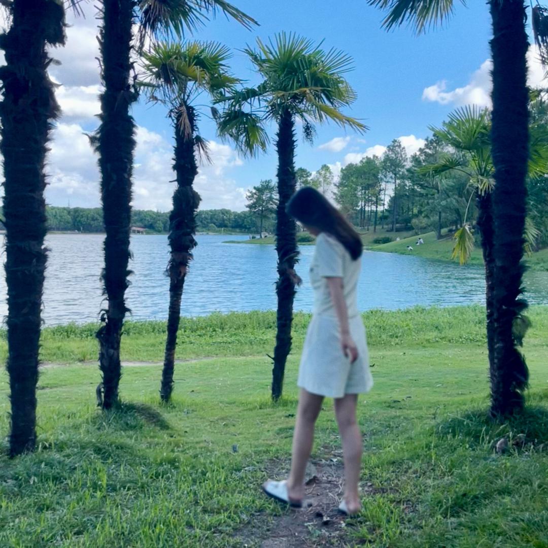 木梓