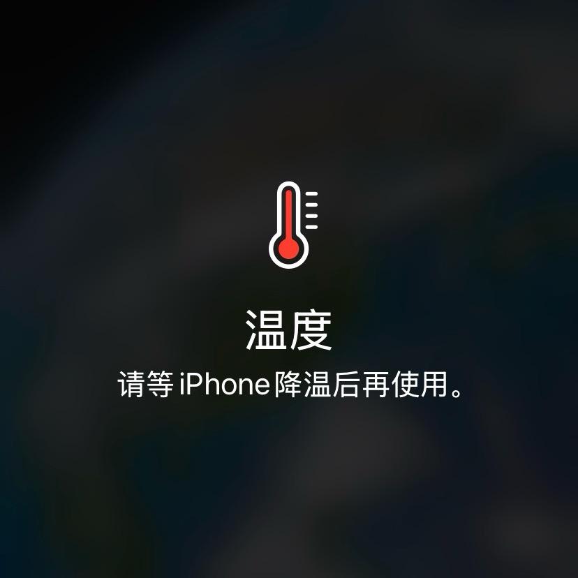 宇宝头像