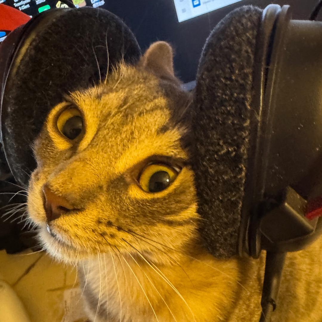 Werh4N^^