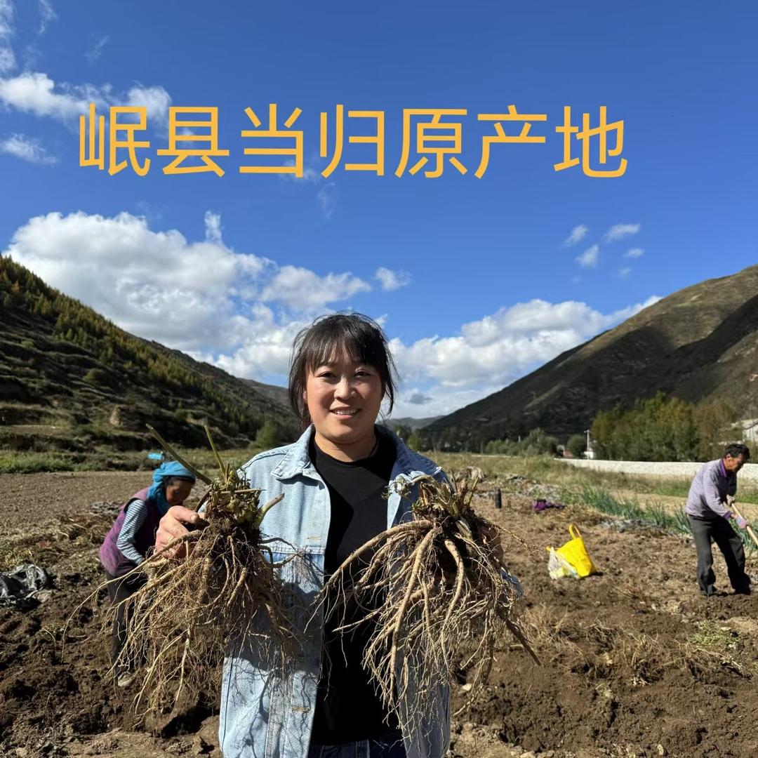 岷县三宝滋补养生店
