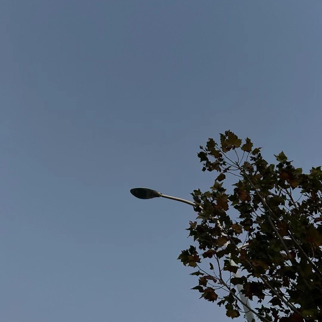 用户