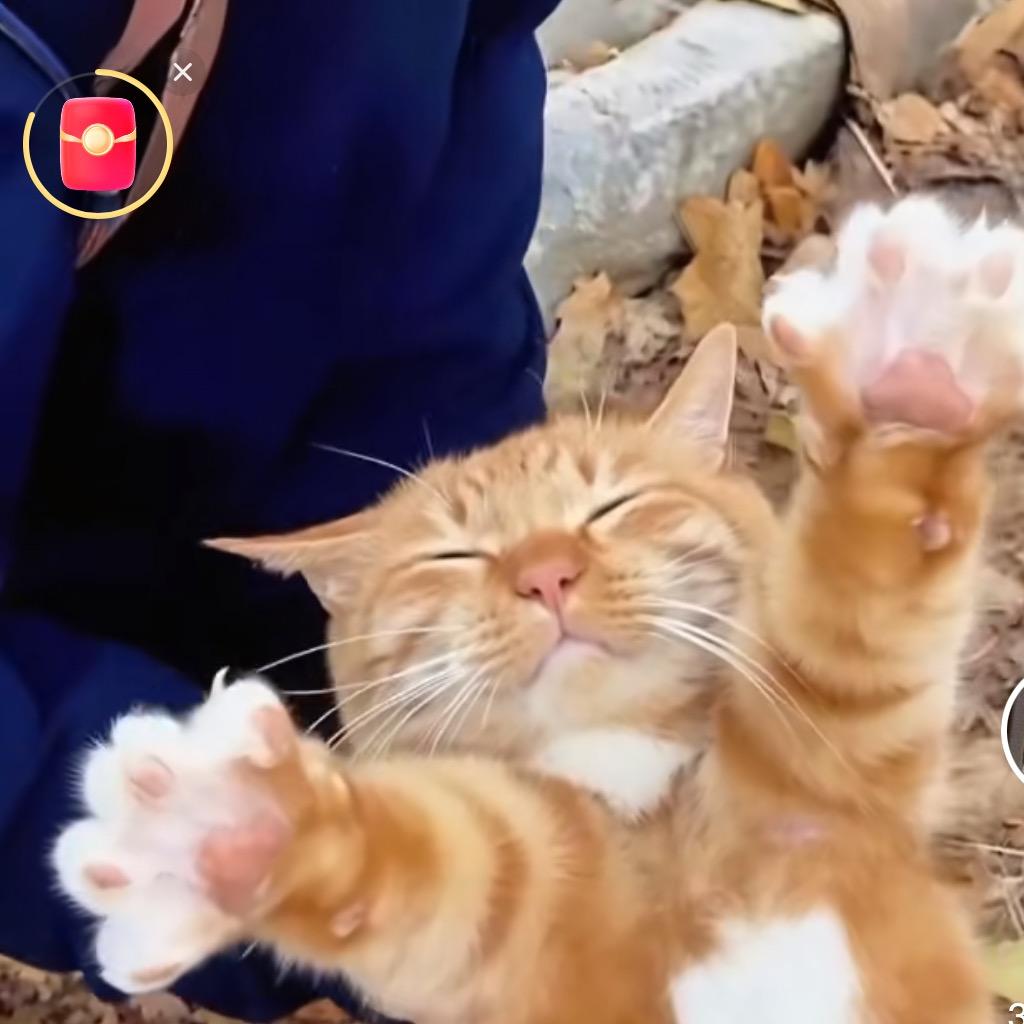 ☁️☁️☁️☁️