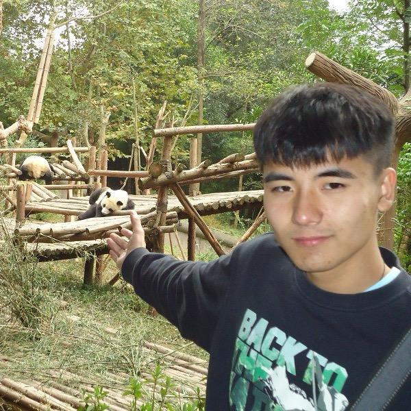 阿秋的熊猫🐼日记