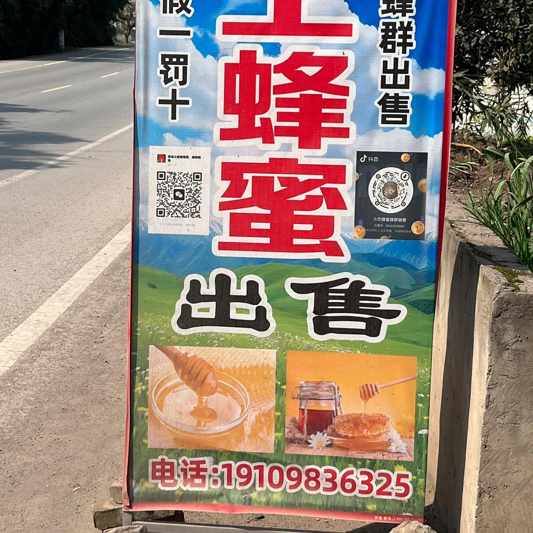 小杰蜂蜜（水产品收售）收售中蜂蜂群
